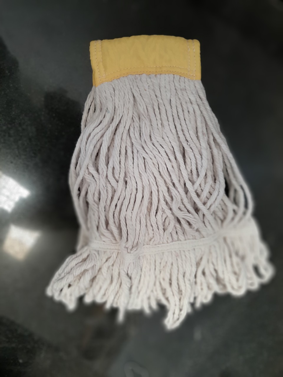 CÂY LAU SỢ DÀI